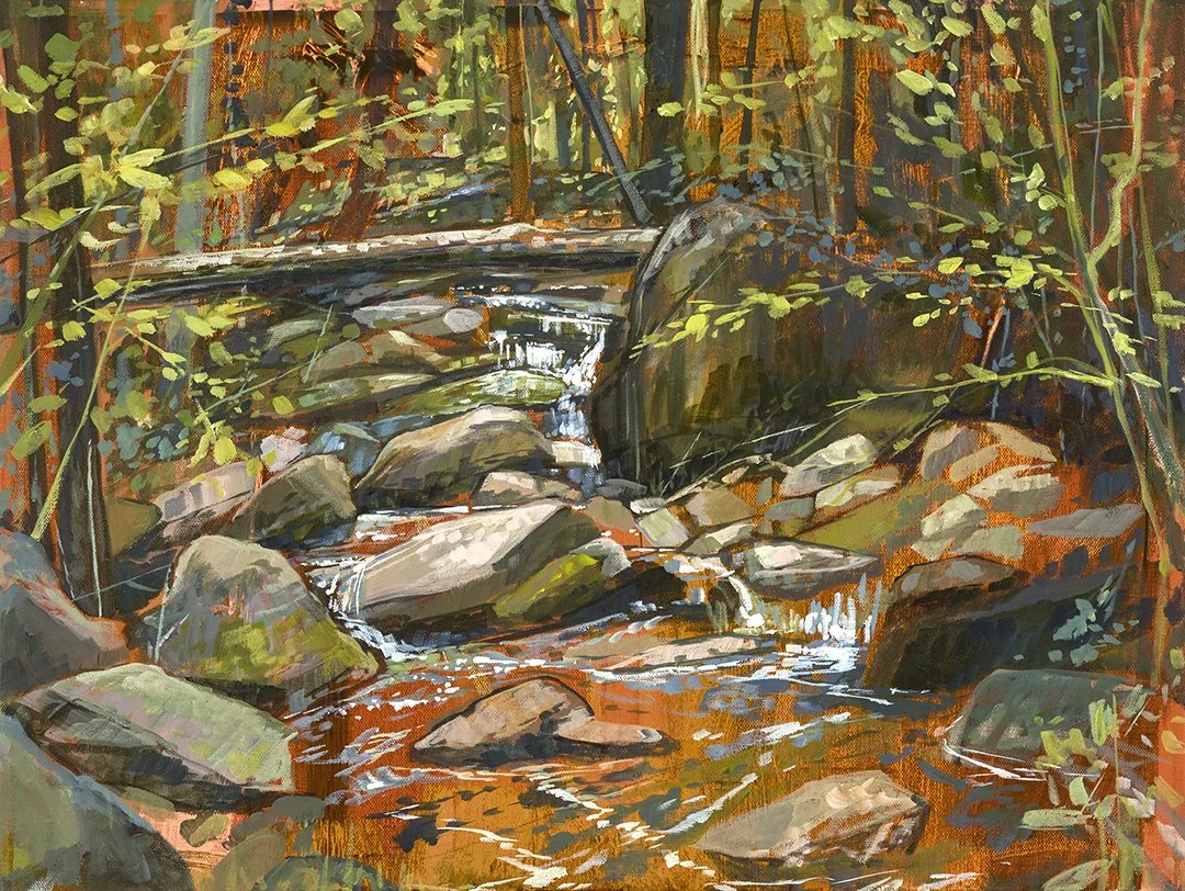 Forest Playground
Acrylic on canvas
18 x 24 inches
Inquiries Welcome
(A portion of the proceeds from this painting will be donated to Southern Appalachian Highlands Conservancy)

