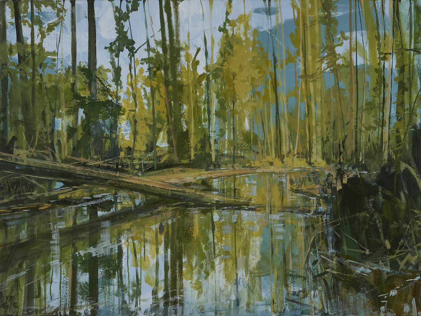 Cherokee Mirror
Acrylic on canvas
36 x 48 inches
Inquiries Welcome
(A portion of the proceeds from this painting will be donated to Southern Appalachian Highlands Conservancy)