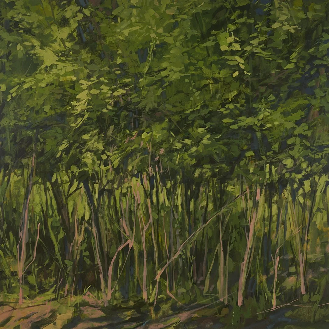 Secret Garden
Acrylic on canvas
60 x 60 inches
Inquiries Welcome
(A portion of the proceeds from this painting will be donated to Southern Appalachian Highlands Conservancy)
