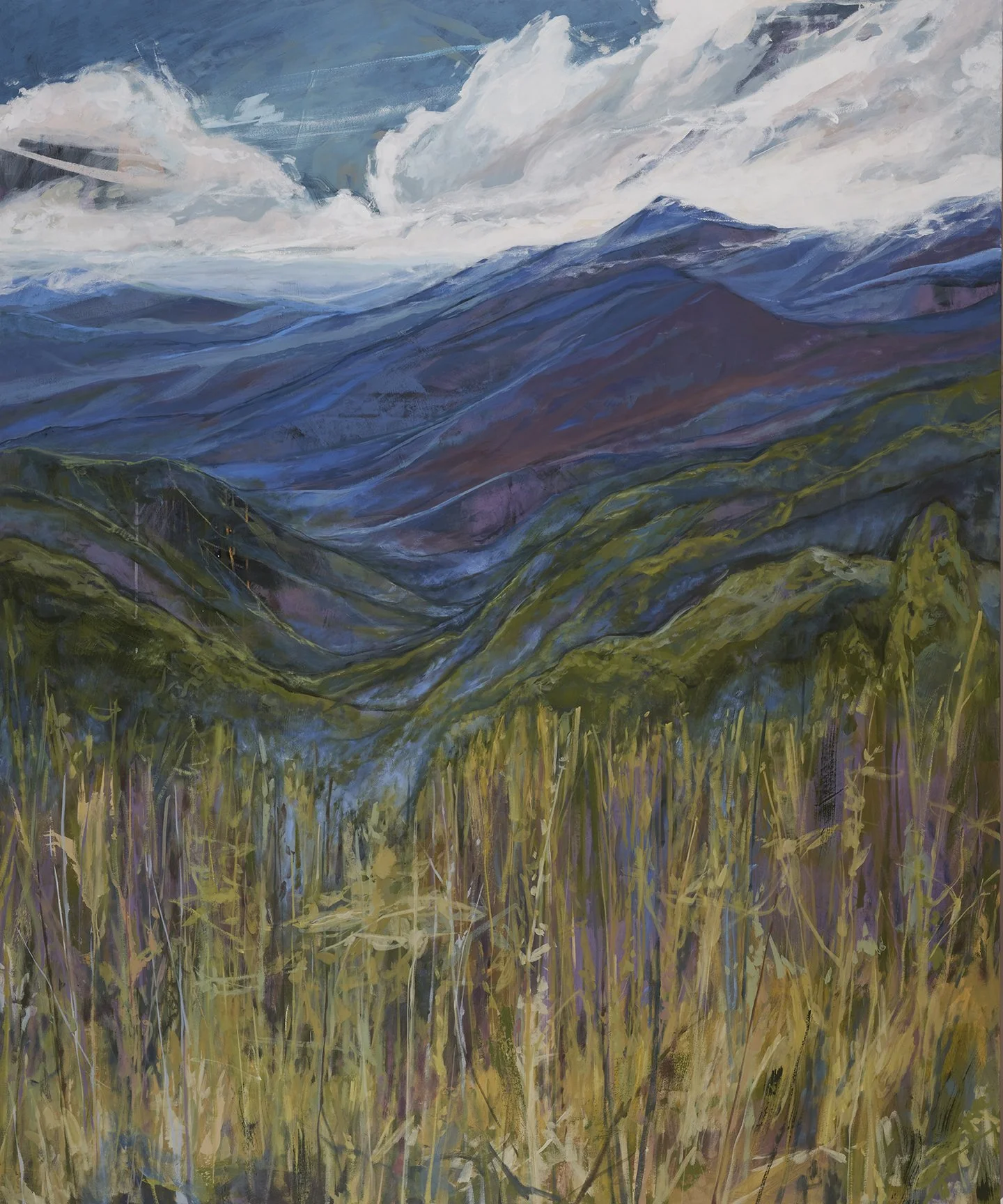 Mountain Break
Acrylic on Canvas
72 x. 60 inches
Inquiries Welcome
(A portion of the proceeds from this painting will be donated to Southern Appalachian Highlands Conservancy)