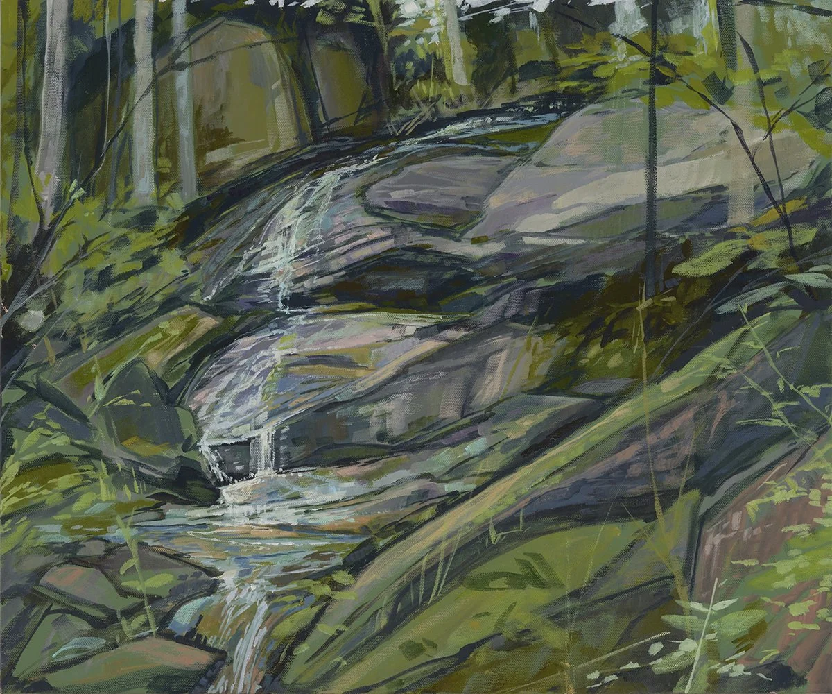 Slip and Slide Forest
Acrylic on Canvas
20 x. 24 inches
Inquiries Welcome
(A portion of the proceeds from this painting will be donated to Southern Appalachian Highlands Conservancy)