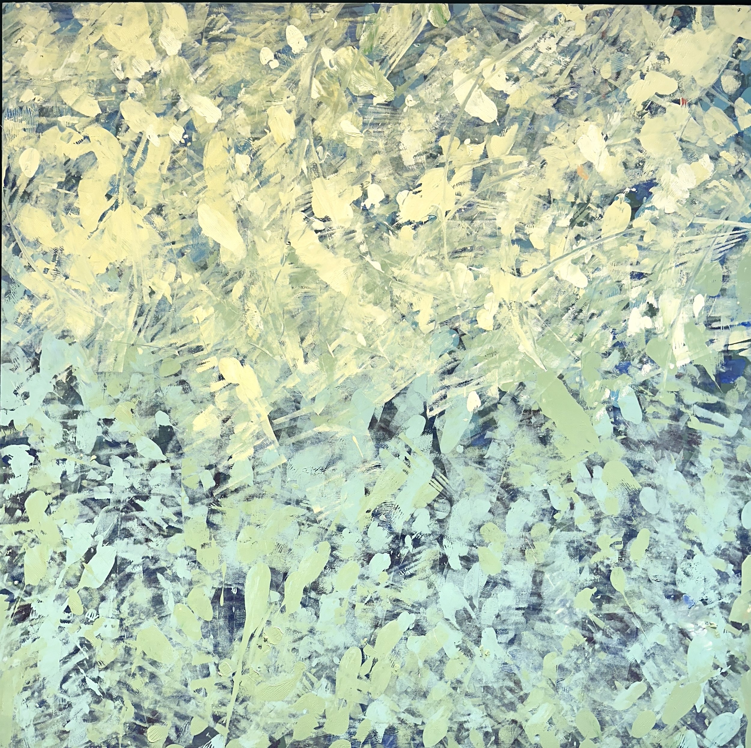 Room the Grow, OIl on canvas, 36 x 36"