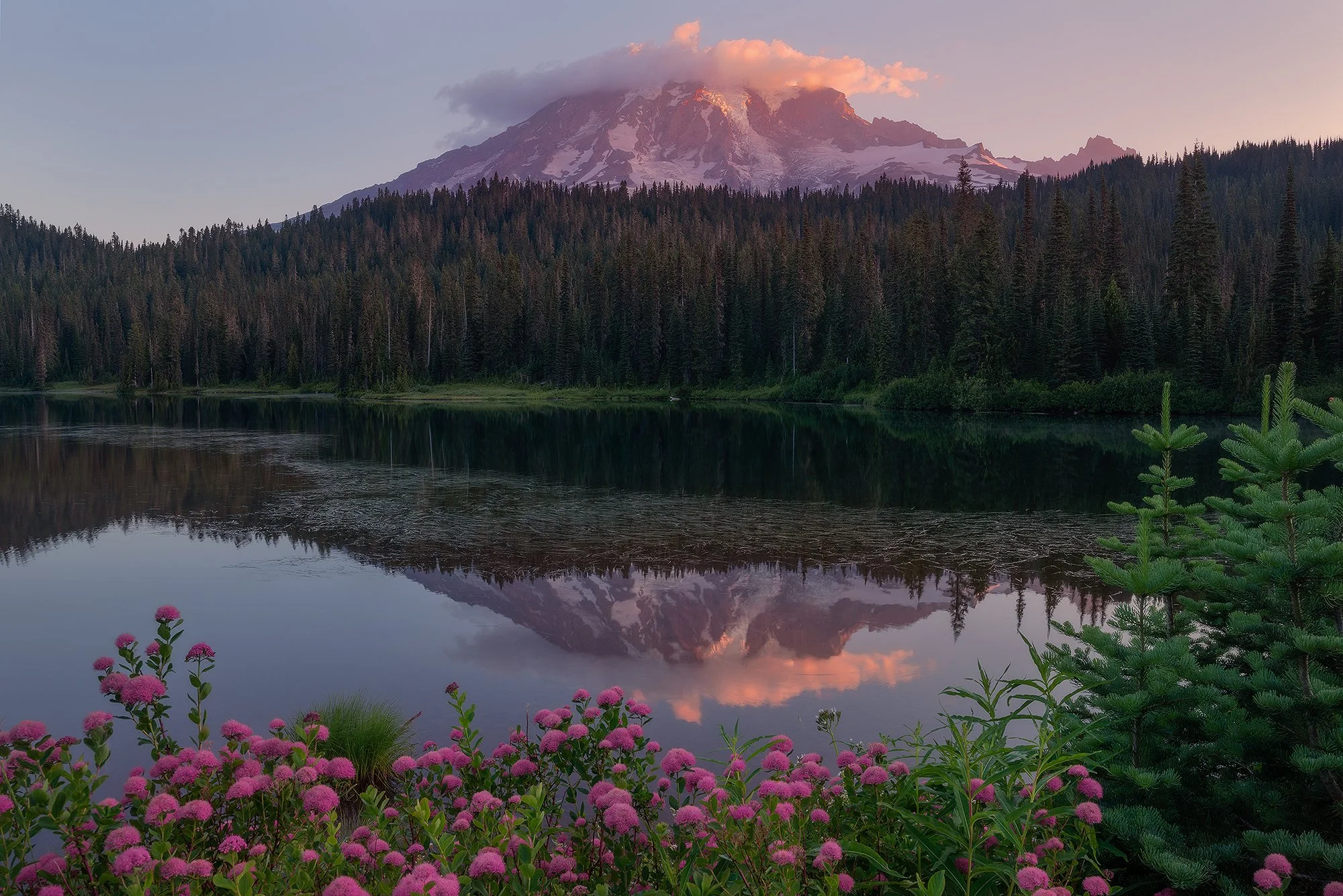Reflection-Lake-Pink-Flowers-copy-4.jpg