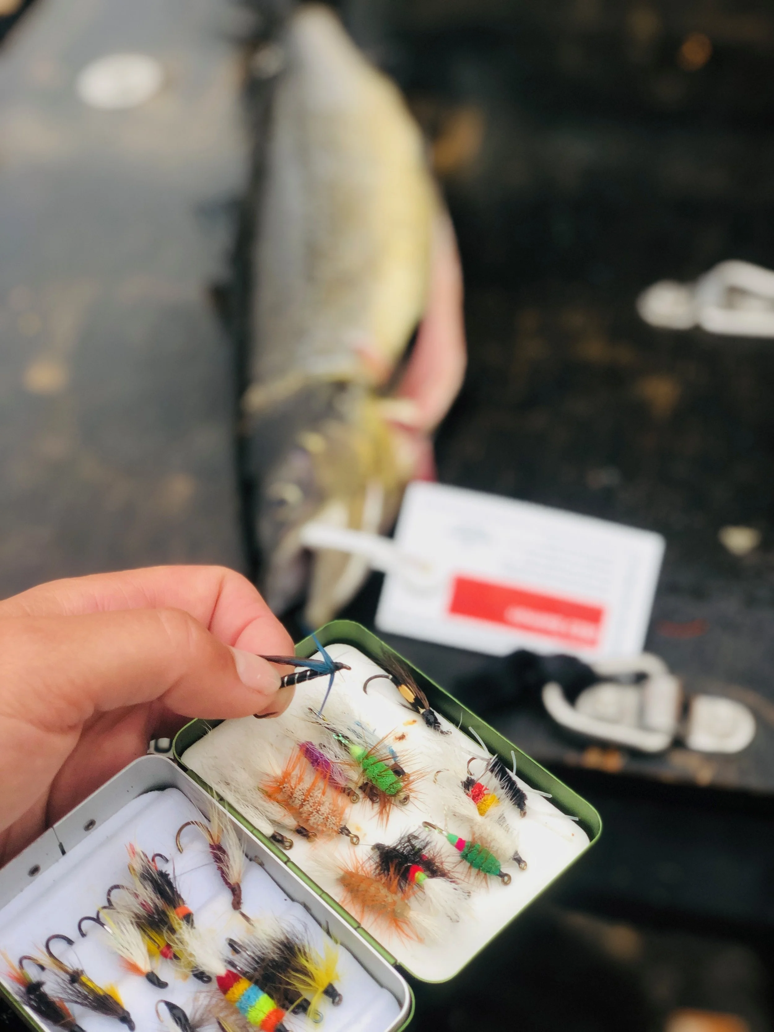 Fly box and salmon.jpg