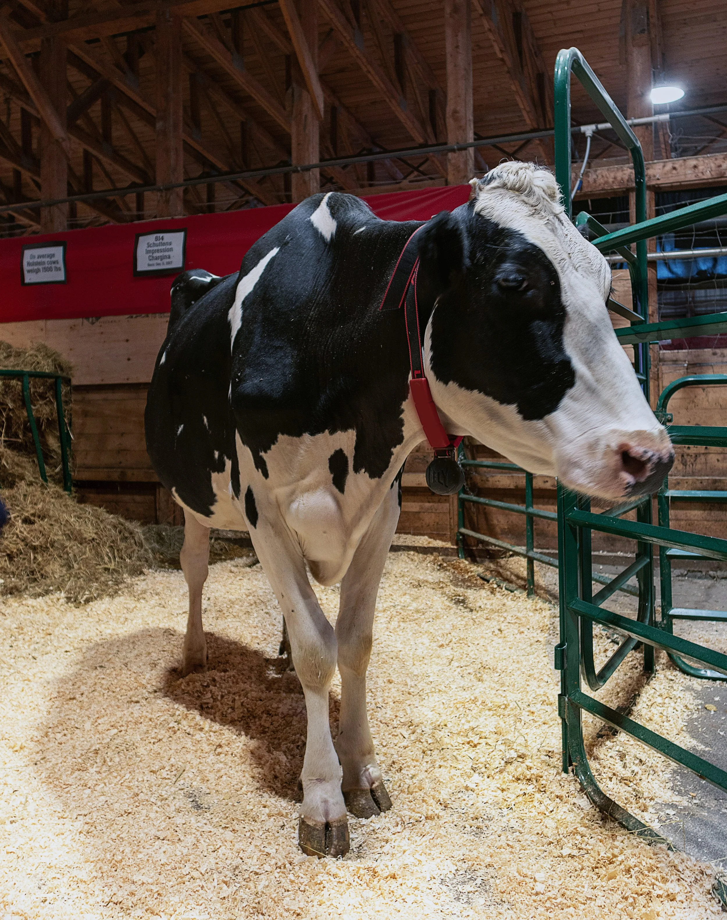 Automation on the farm