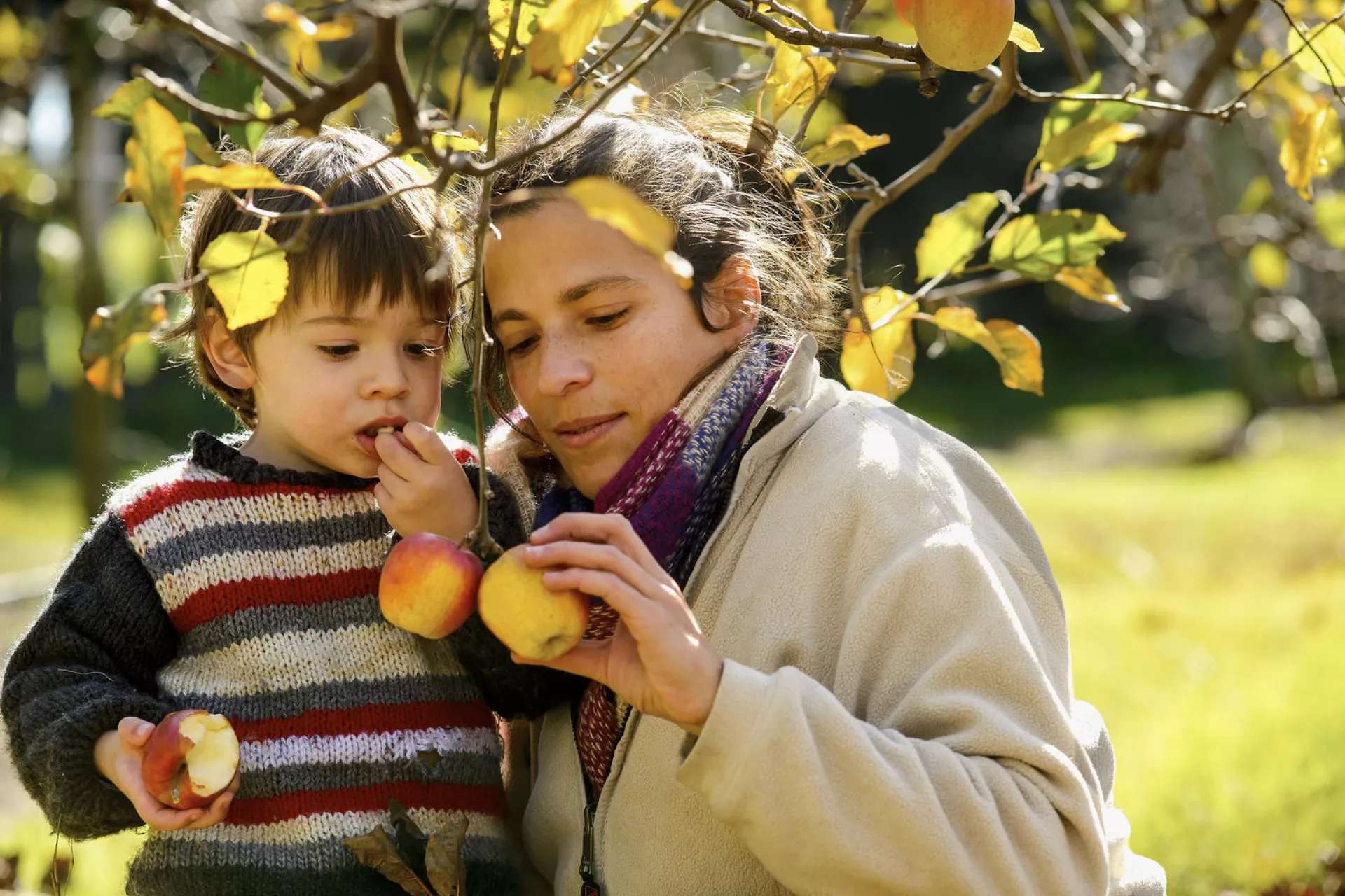 How to raise a healthy eater