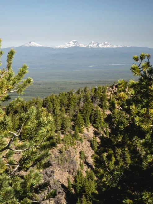 American Forests Partnership 
