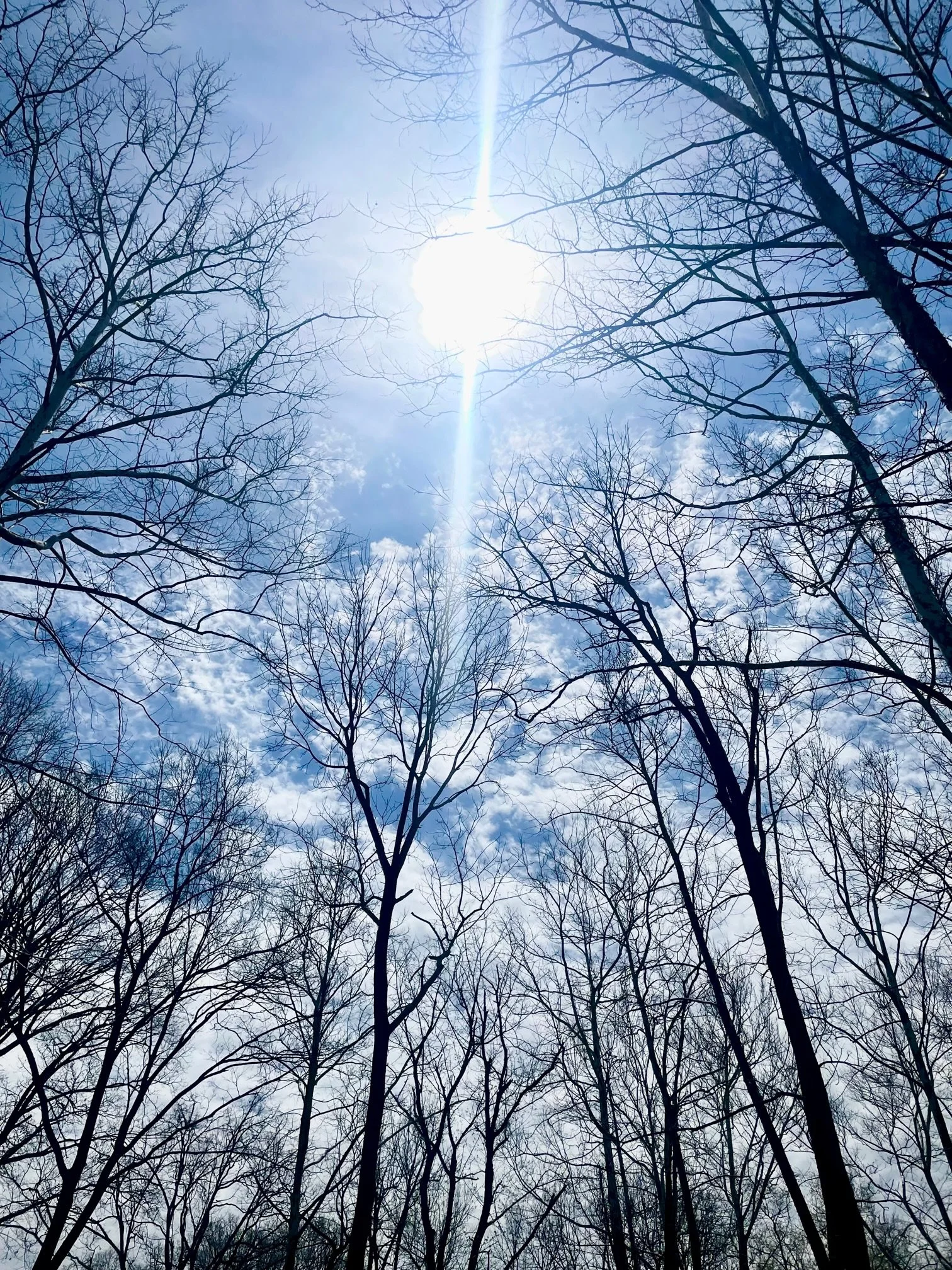 JSC Sunshine.jpg