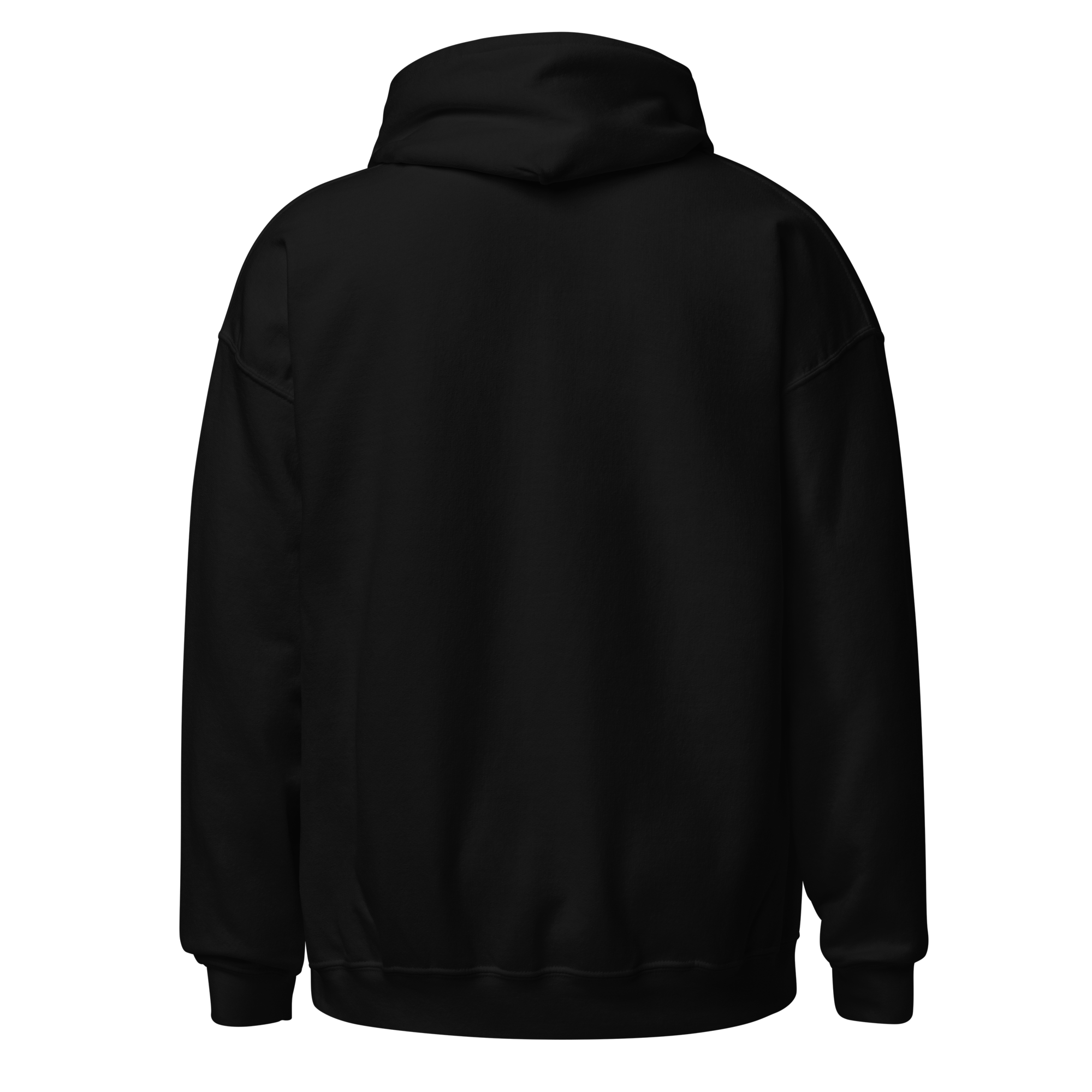 unisex-heavy-blend-hoodie-black-back-6813c66f45877.png