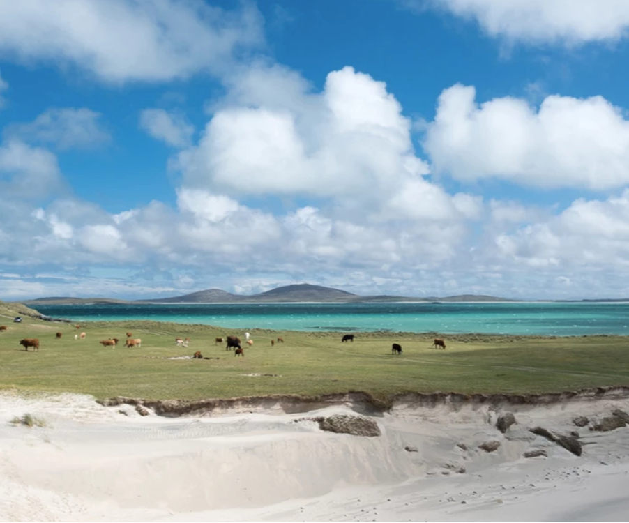 10 of the best UK beaches to relax on this summer