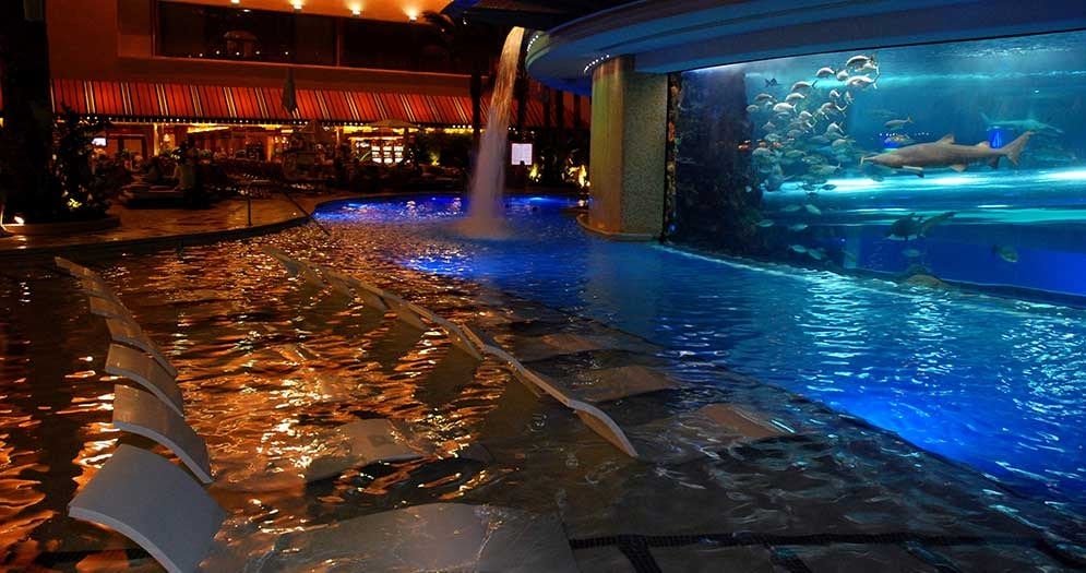 Shark Tank Pool @ Golden Nugget