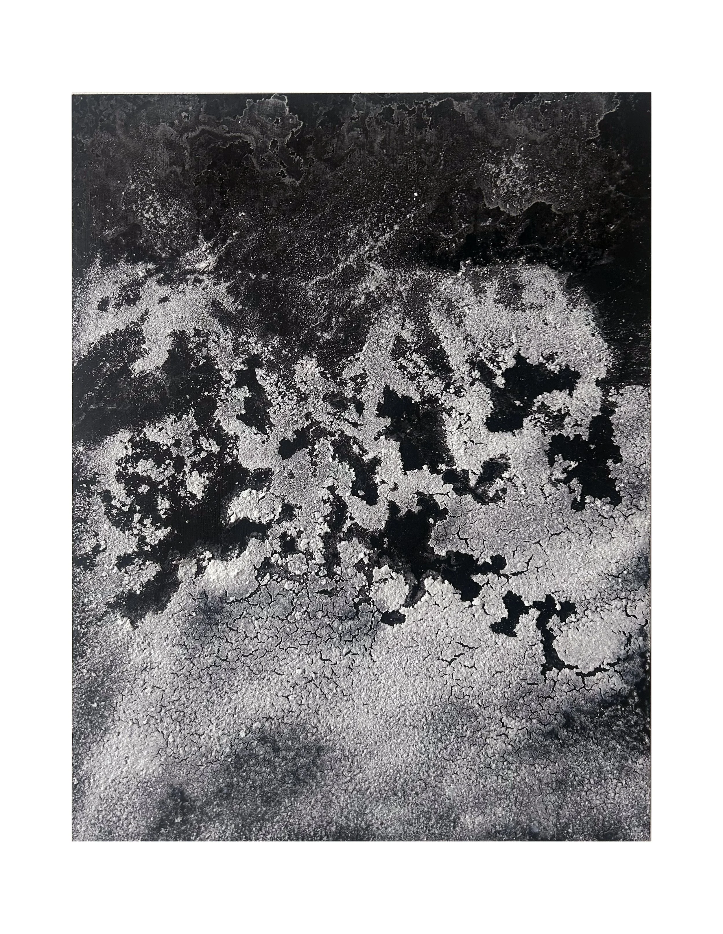Brine Fields I