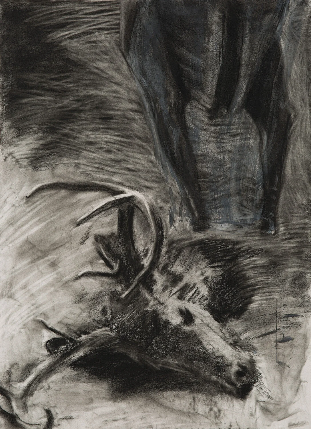 Untitled - Charcoal on Rives BFK - 30 x 22 in.