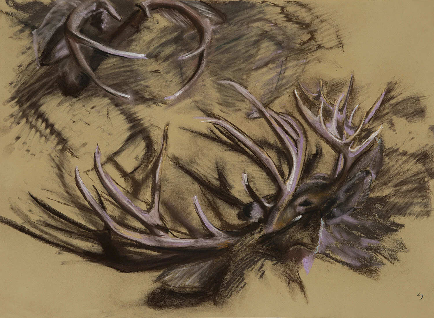 Treasured Triple Crowns - Pastel on Tan Rives BFK - 22 x 30 in.