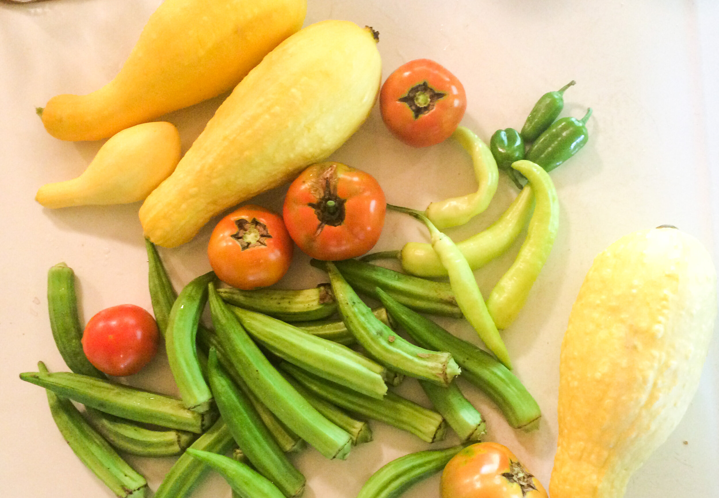 Give Us This Day Our Daily Bread