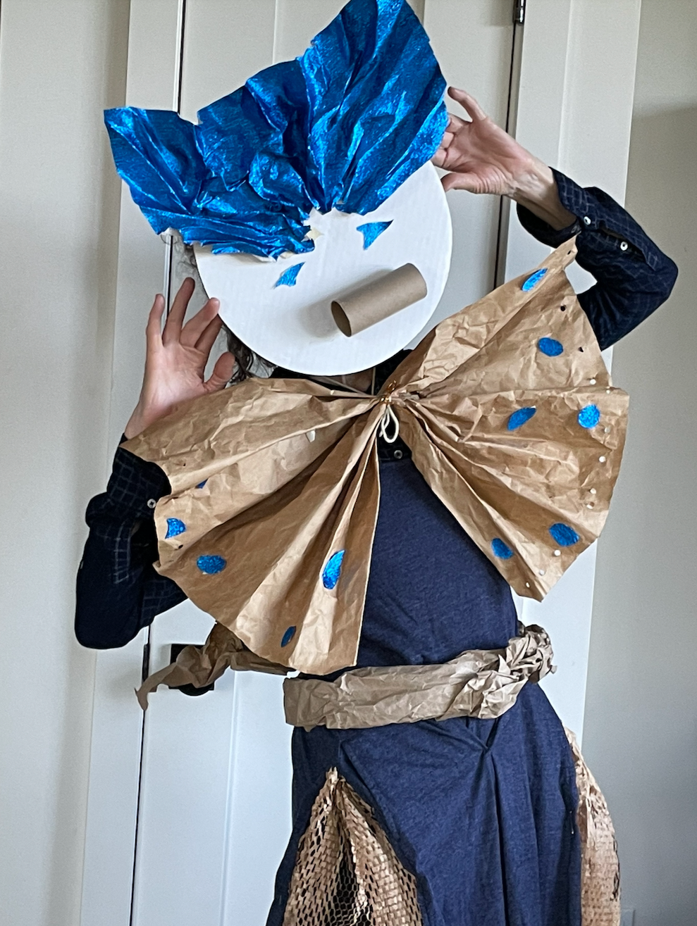 MADCAP PLAYERS Performance Ensemble