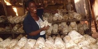 Jane Frances Mugerwa