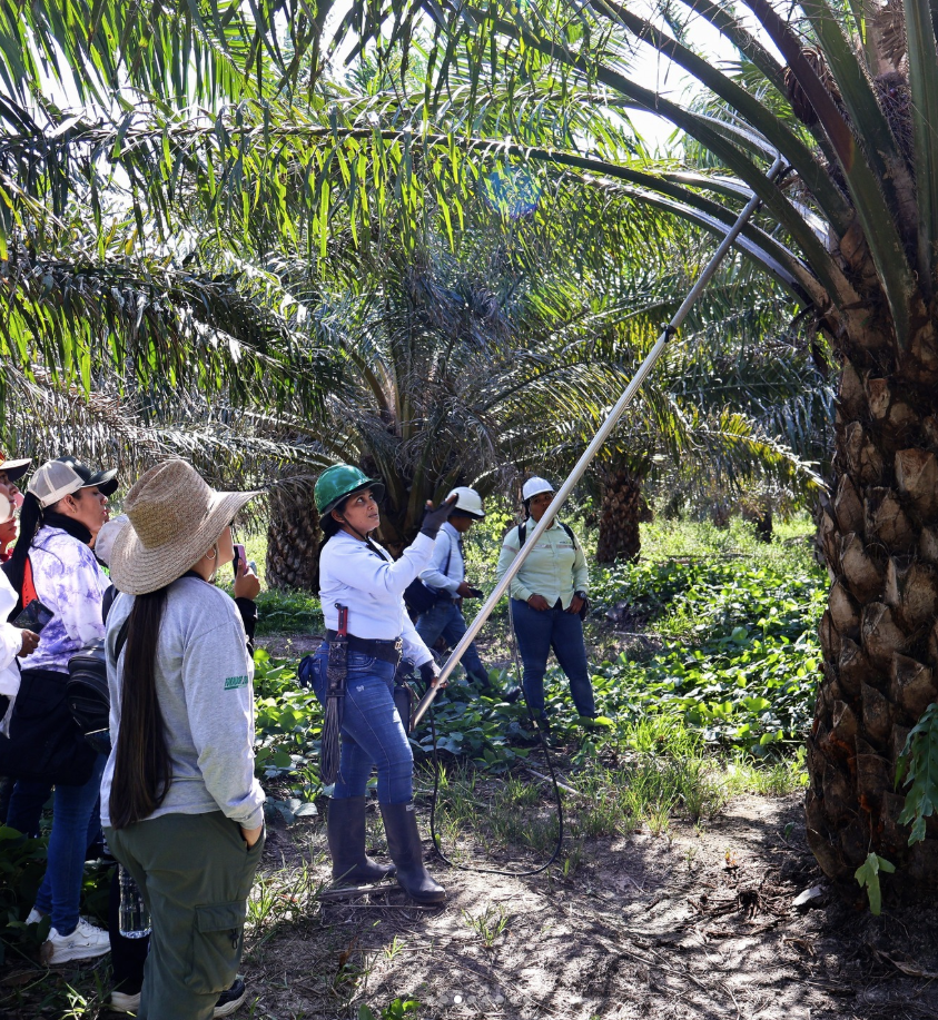 Screenshot 2026-02-23 132341.png