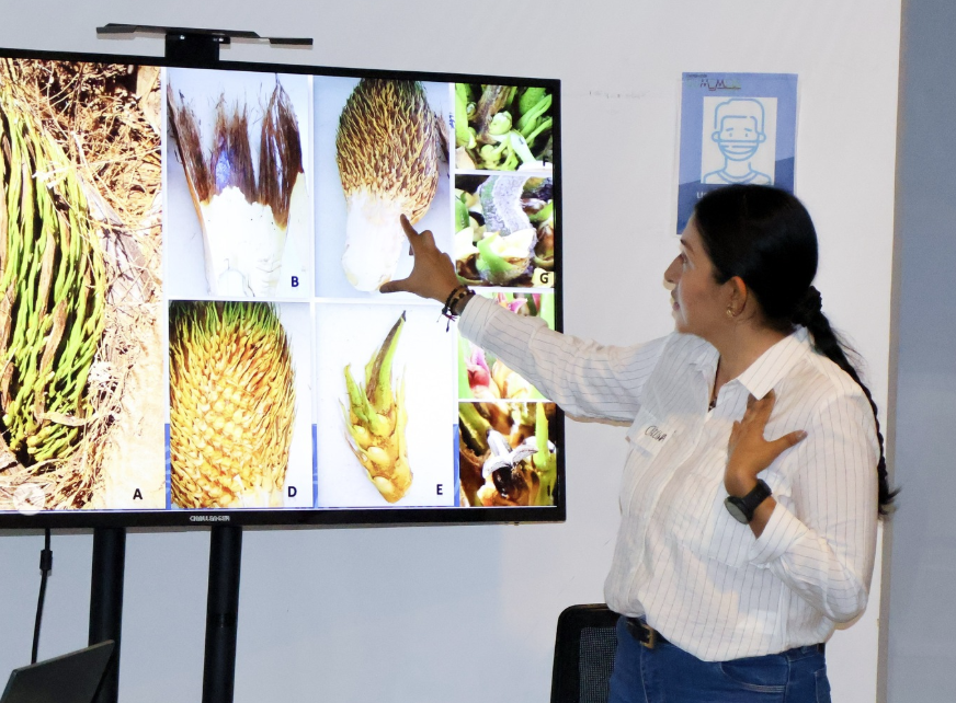 Screenshot 2026-02-23 132450.png