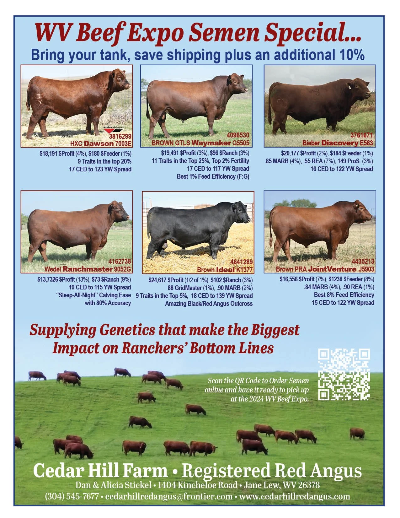 Cedar Hill Red Angus