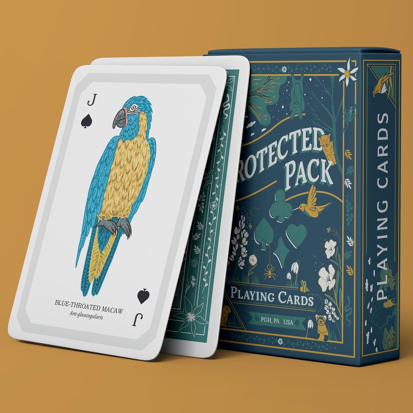 This one-eyed macaw was just one of the many ways we tried to stay true traditional card design. While deck designs vary, there are a lot of themes and details that reappear, like one-eyed jacks. While these aren&rsquo;t always required for usability