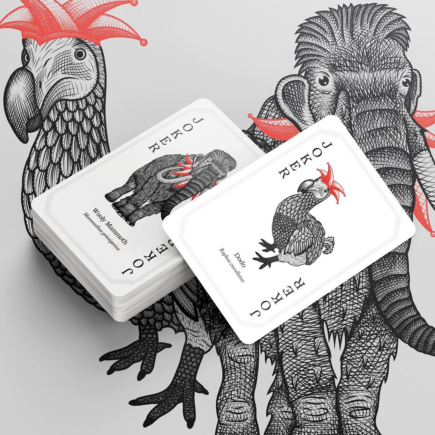 BIG REVEAL: The Protected Pack Jokers. We picked the Dodo and Wooly Mammoth for these extra cards. Extinct species as the jokers felt like a good reminder that the rest of the deck needs our attention and efforts to stay safe. Also, we really wanted 