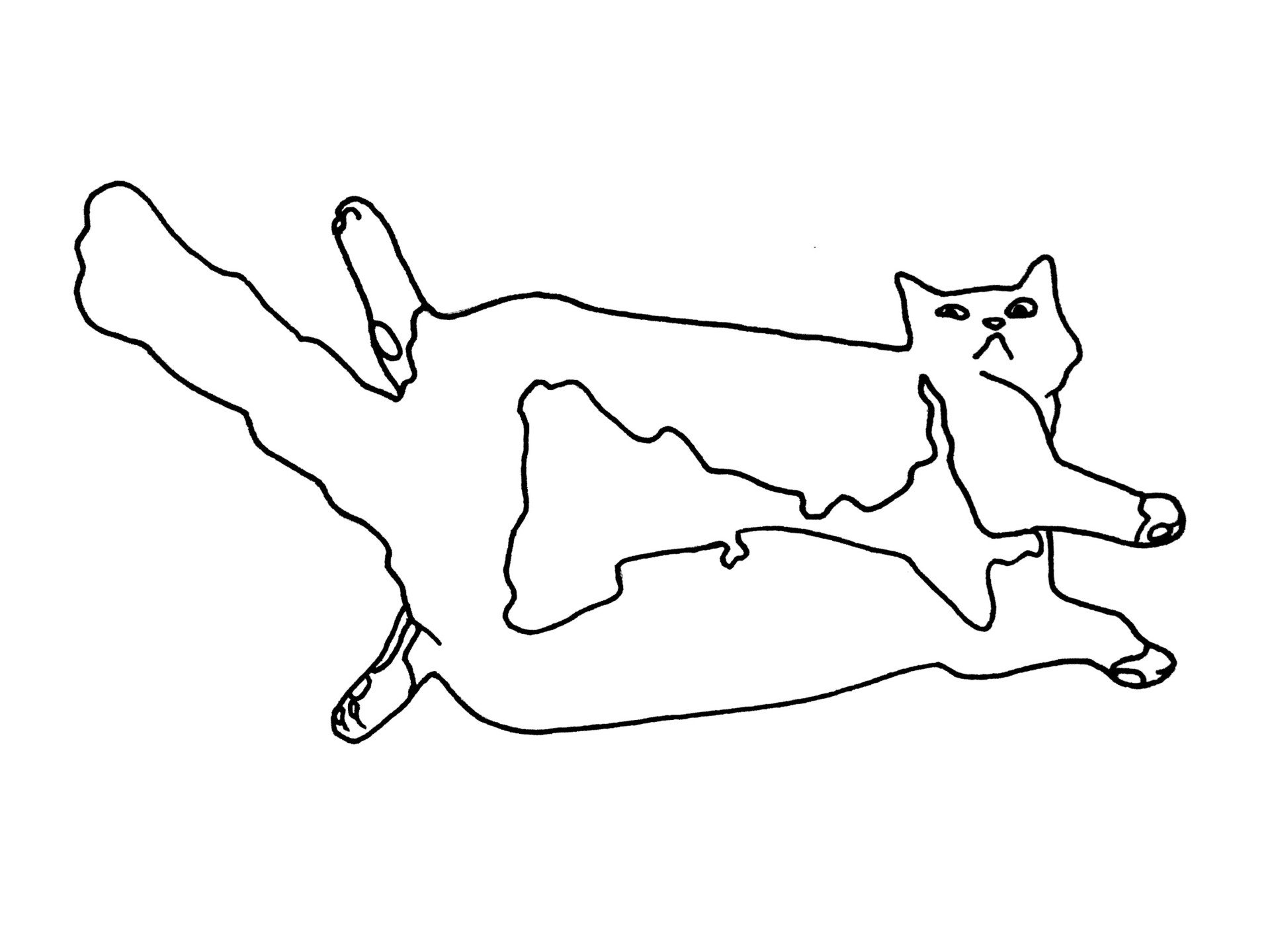 Min line.jpg