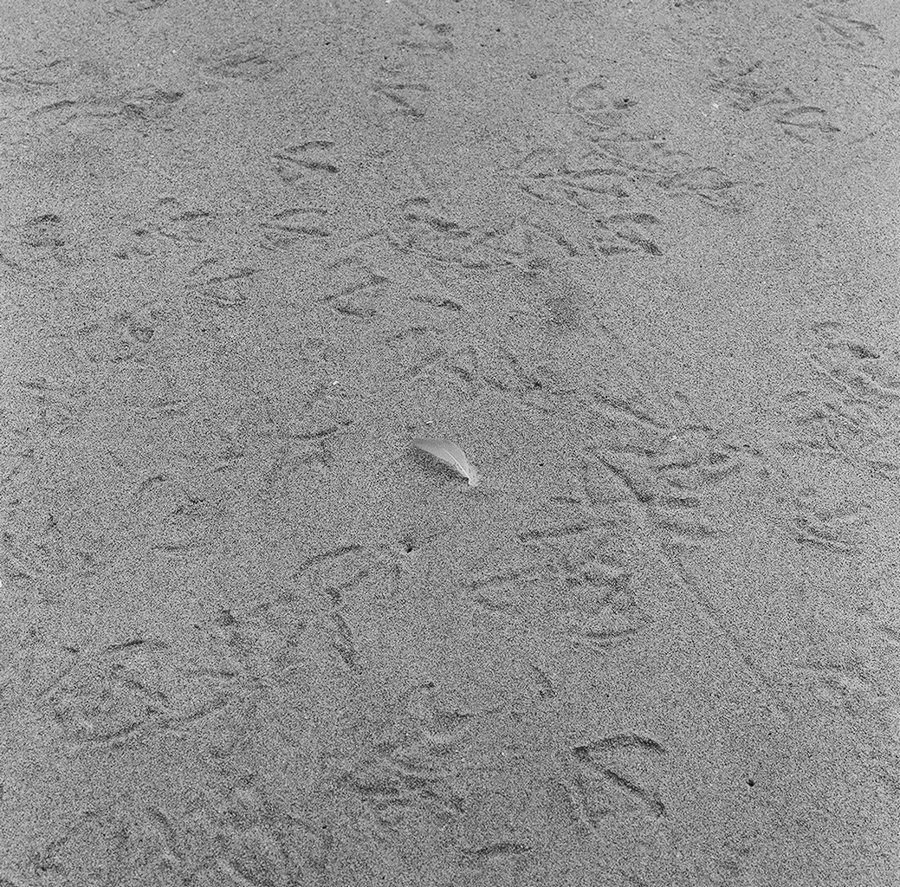 000016790009.jpg