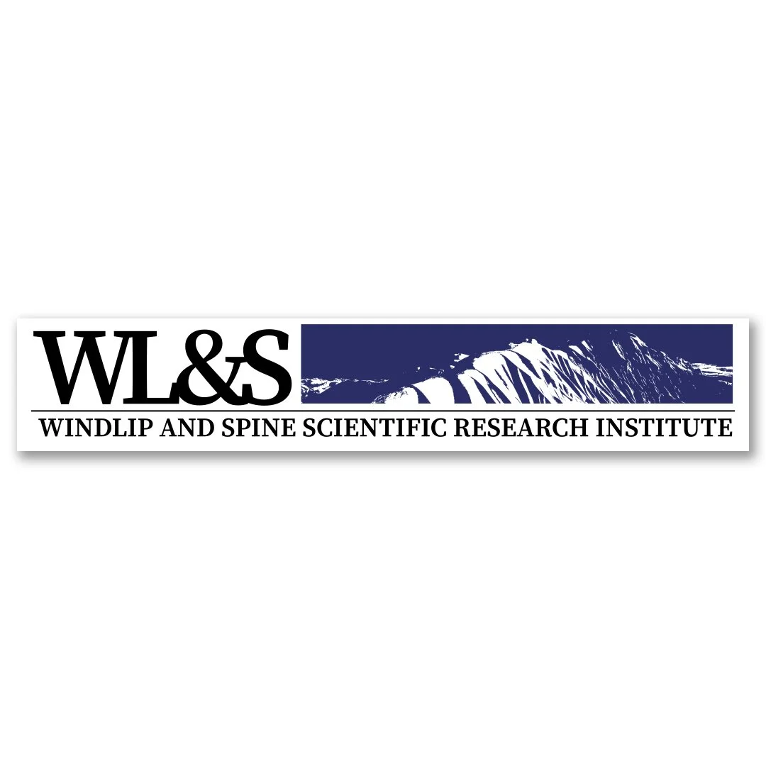 WL&S-Insitute.jpg