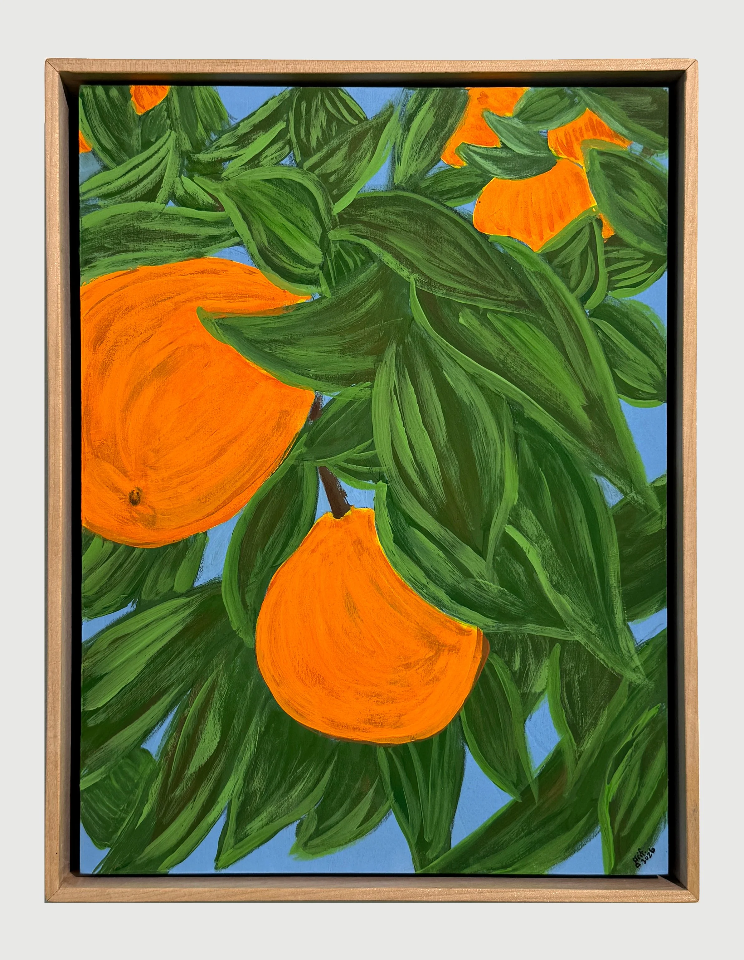 our neighbors orange tree.jpg