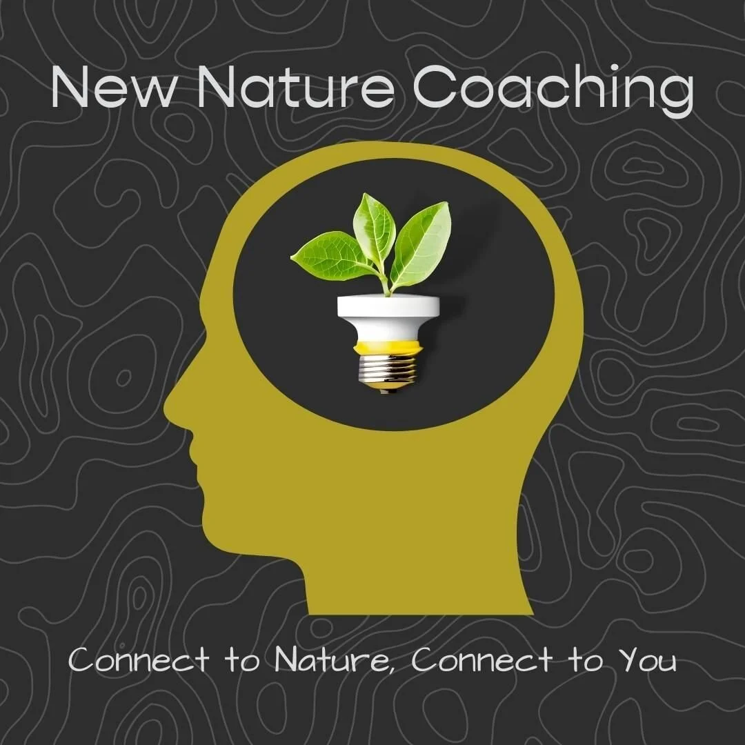 In the book, Rooted: Life at the Crossroads of Science, Nature, and Spirit by Lyanda Lynn Haupt, there is a paragraph about a &quot;biologist's philosophy&quot;. This particular excerpt defines a message of ecologist and mystics alike: &quot;all matt