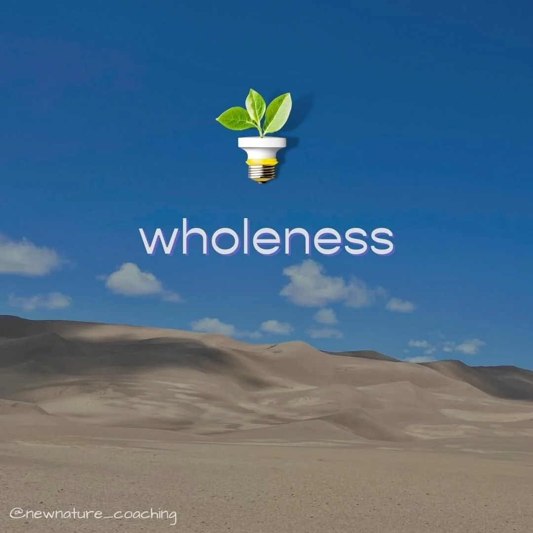 #NatureLesson
Sand dunes are formed when sand settles in a valley and the wind moves it back and forth and back again. The dunes migrate, shift, and change as the wind blows from all sides. Despite all the change, the amount of sand and matter remain