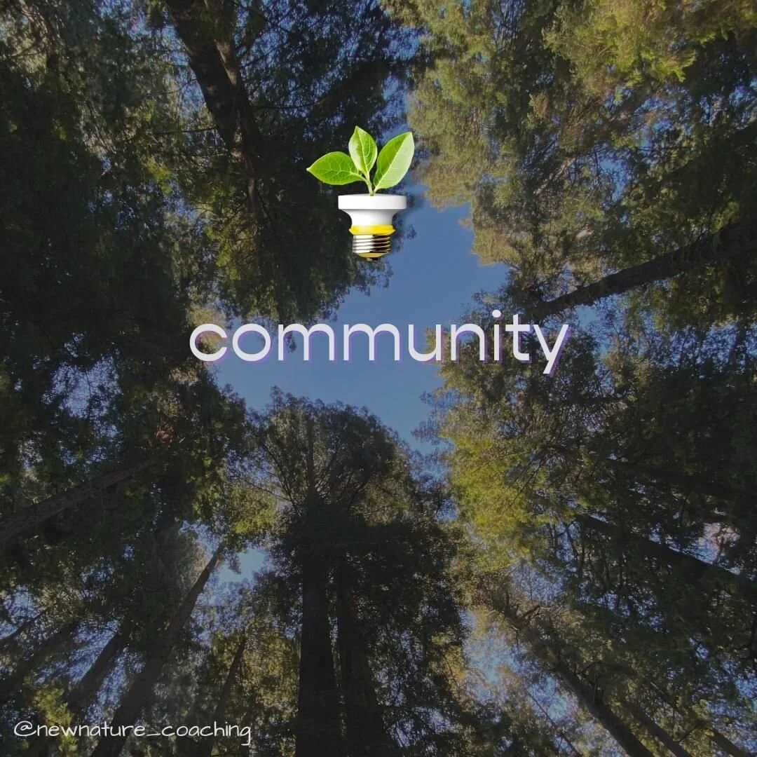 #NatureLesson
Forests are complex environments made up of several different inhabitants. Large trees and smaller plants provide clean air, shade, insulation, and shelter. Fungi decompose dead plants and animals on the forest floor, providing rich nut