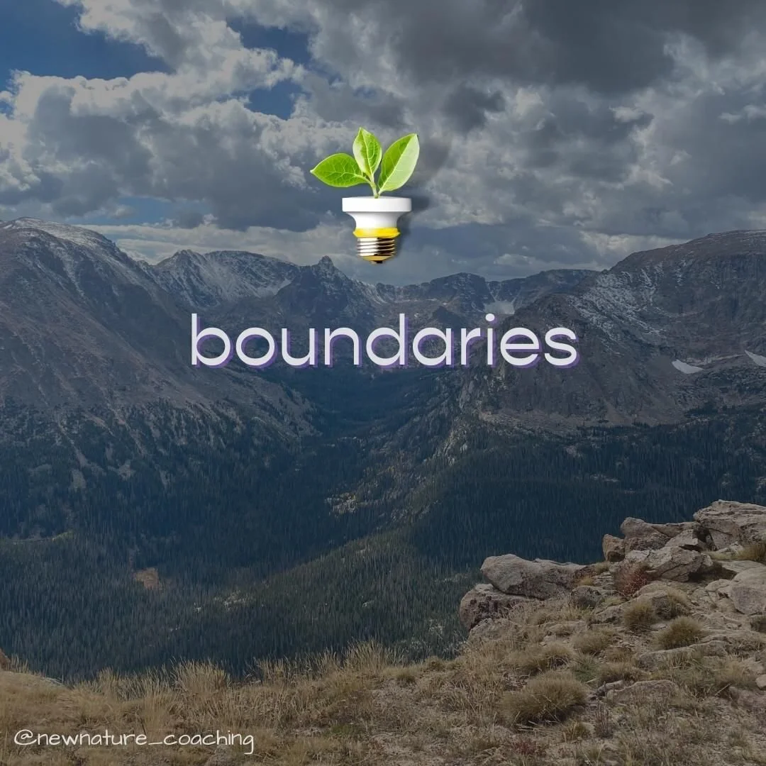 The alpine exists at high altitudes above the tree line. It&rsquo;s low in carbon dioxide, experiences intense sunlight, high winds, and year-round low temperatures. The alpine environment includes small, sturdy ground trees (or shrubs), rocky terrai