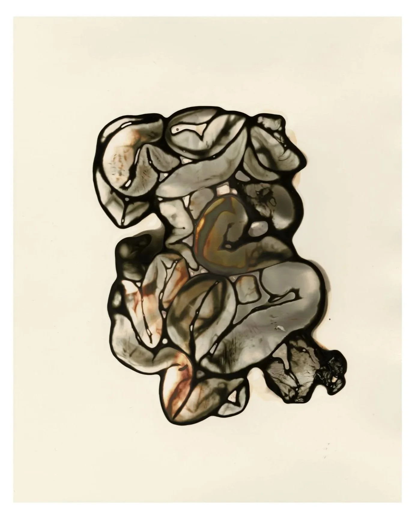 Abstract internal organs