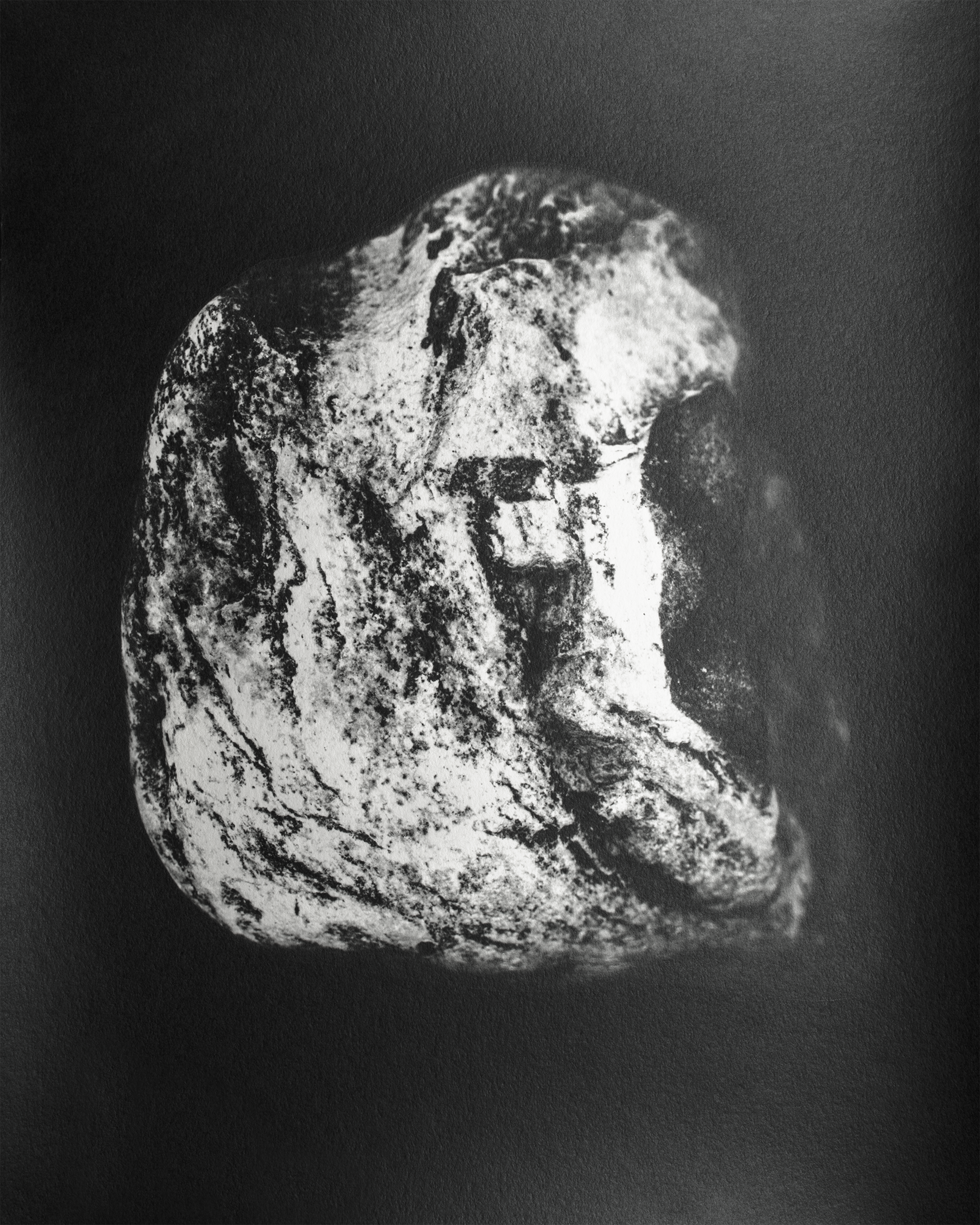 Black and white photograph of a rock.