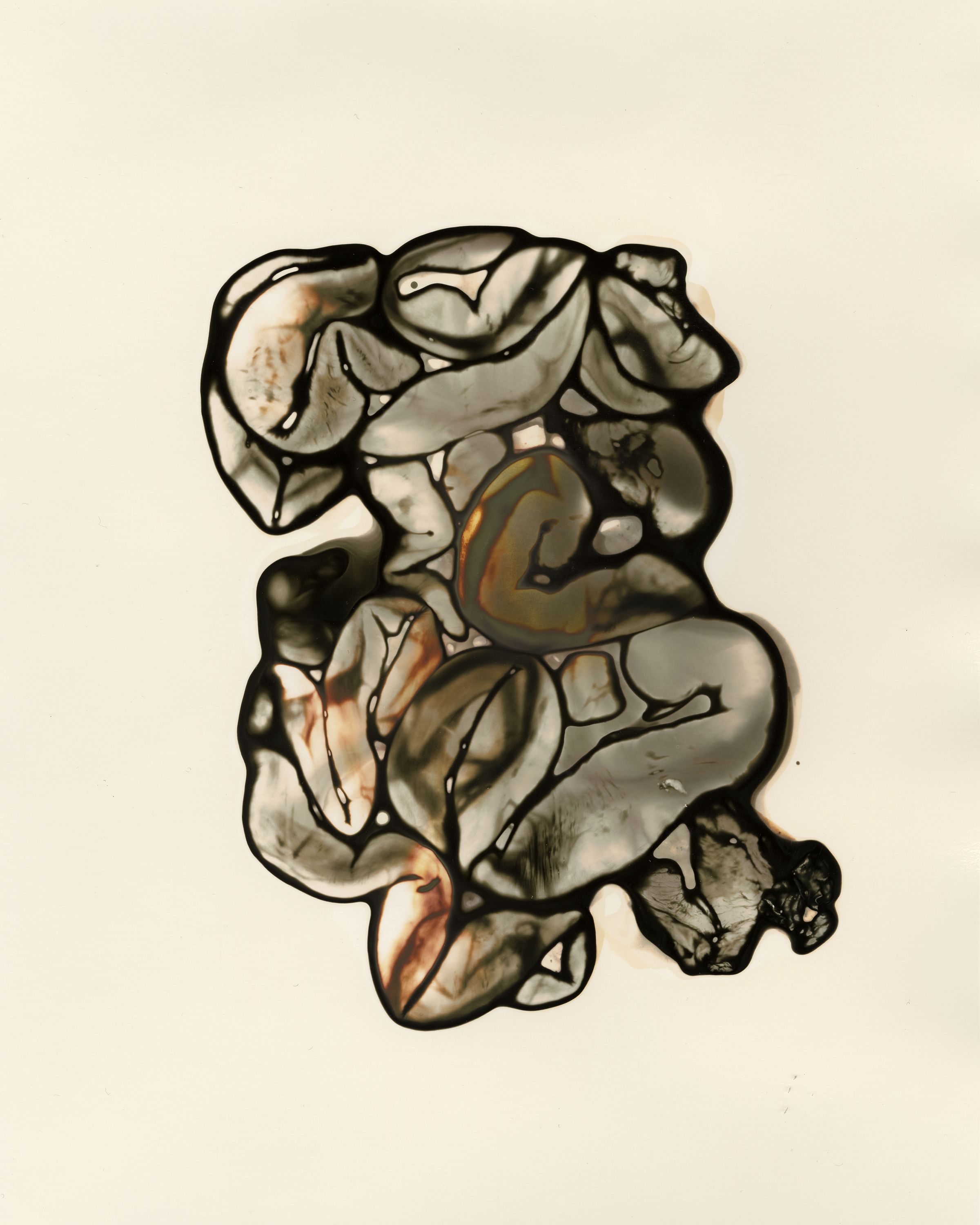 Abstract photograph of internal organs.