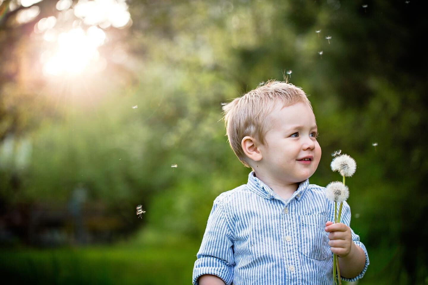 This little cutie pie turned FIVE yesterday! 🤯 He looks so tinyyyy in his 2 year old photos! 

With Mother&rsquo;s Day right around the corner, I&rsquo;m offering a flash sale for mini session this weekend - only 3 spots available Saturday and Sunda