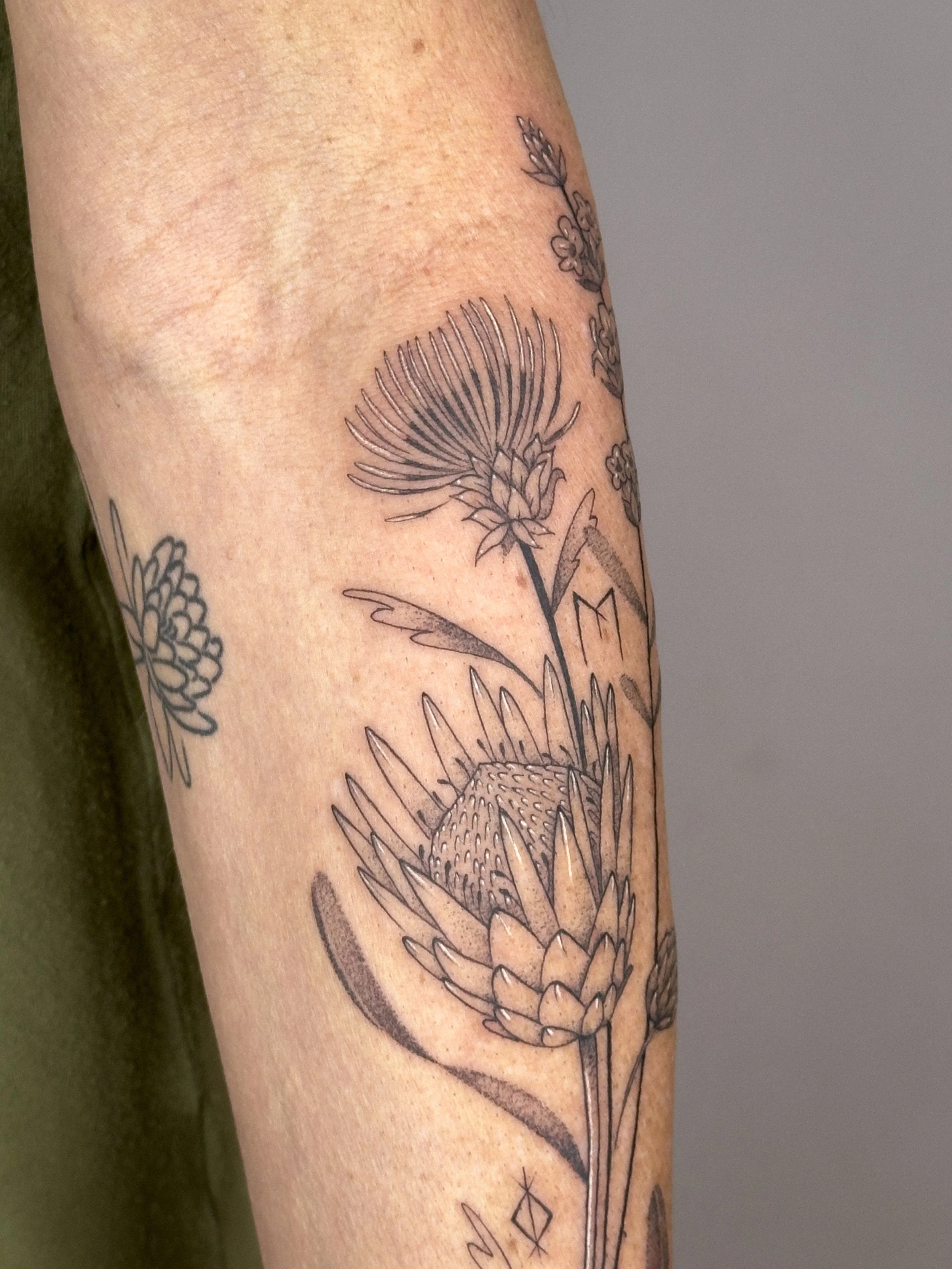 Fine line botanical tattoo featuring protea and thistle flowers, designed to flow naturally along the forearm. Soft shading and organic lines create a delicate and balanced composition.

Custom tattoo by Lis Roldan.
