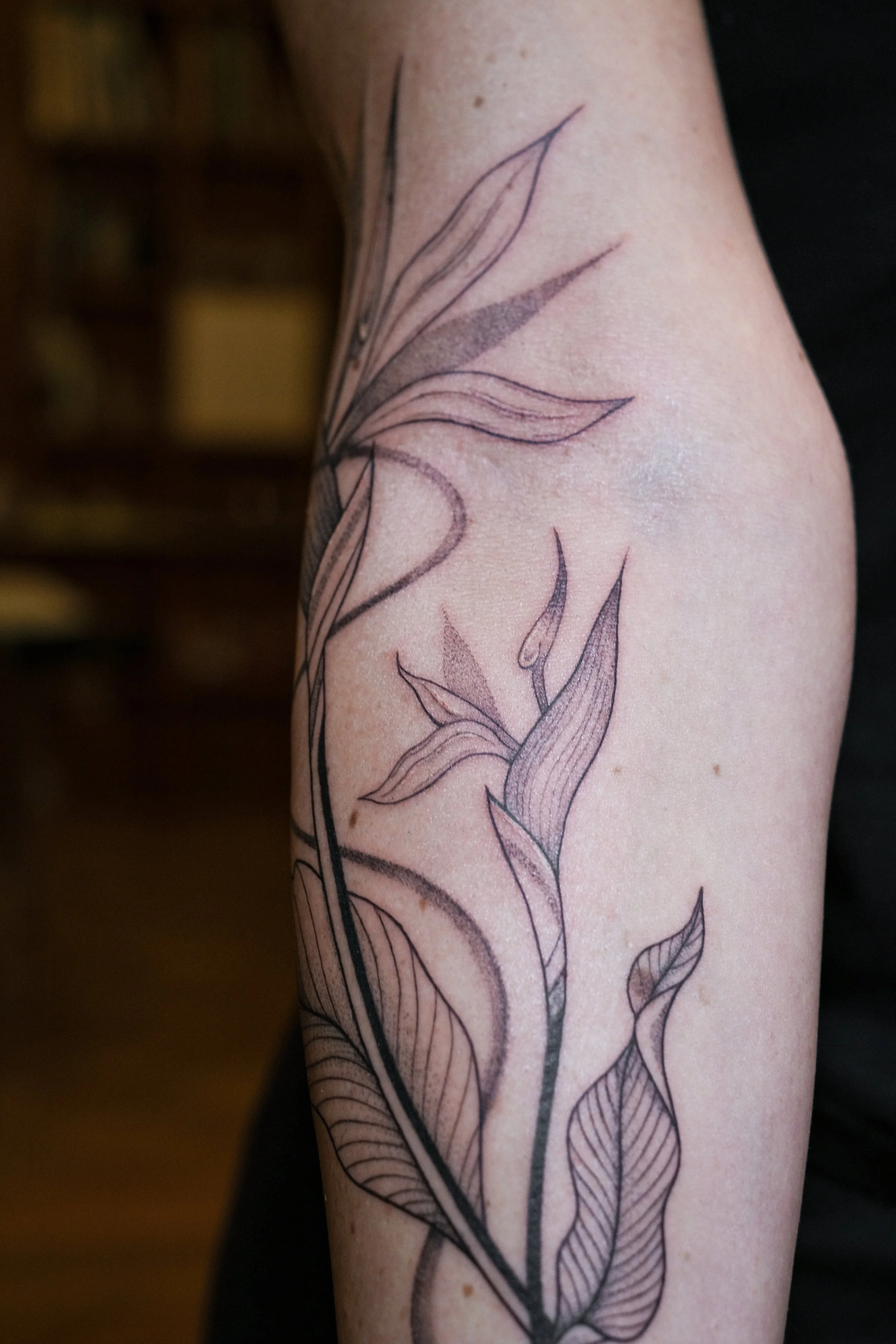 bird-of-paradise-flowers-arm-tattoo-by-lis-roldan.jpg