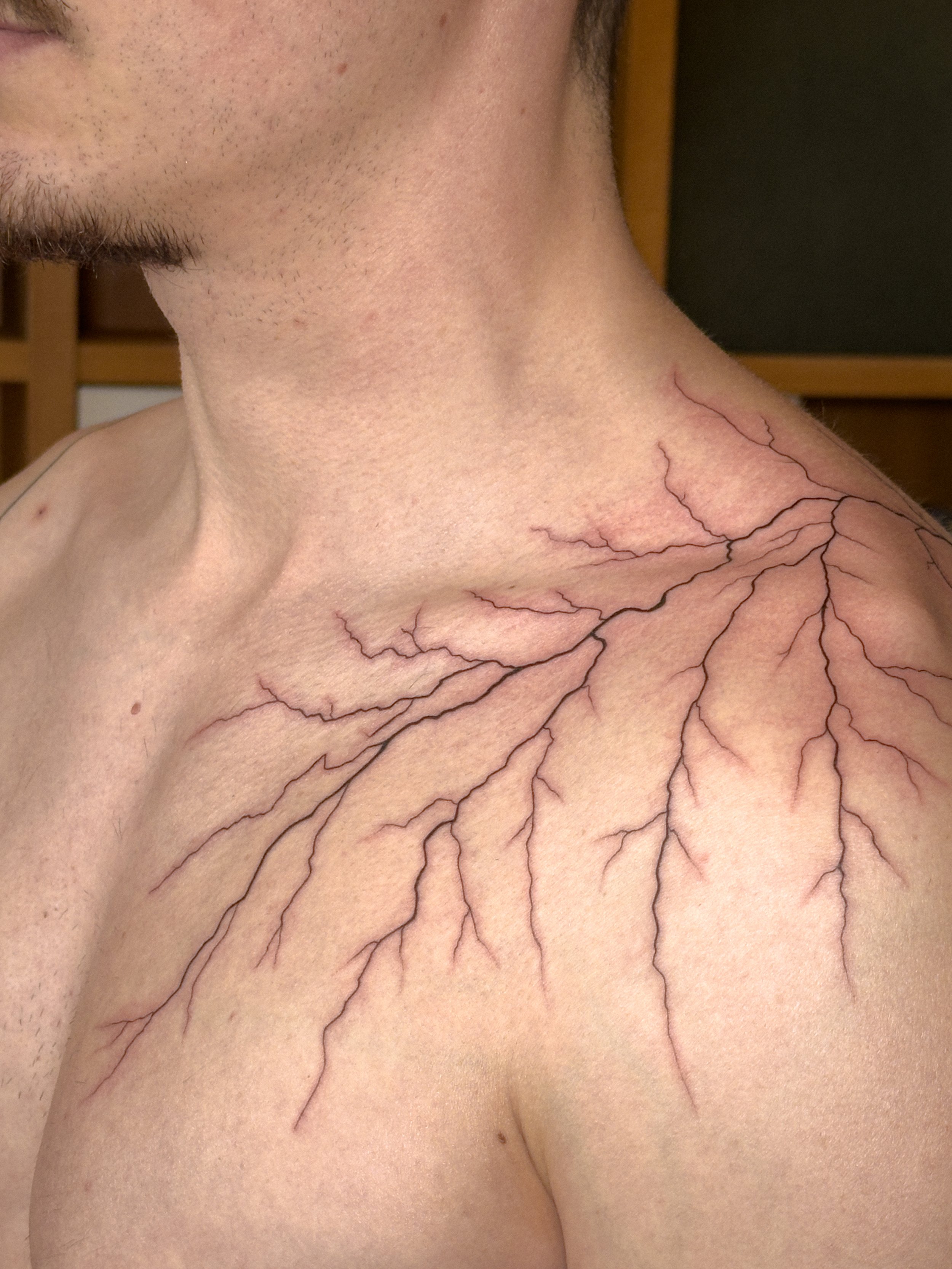 Freehand fine line tattoo inspired by lightning and organic root-like patterns, flowing naturally across the shoulder and collarbone. Designed to follow the body’s structure, creating a raw and dynamic composition.

Custom tattoo by Lis Roldan.
