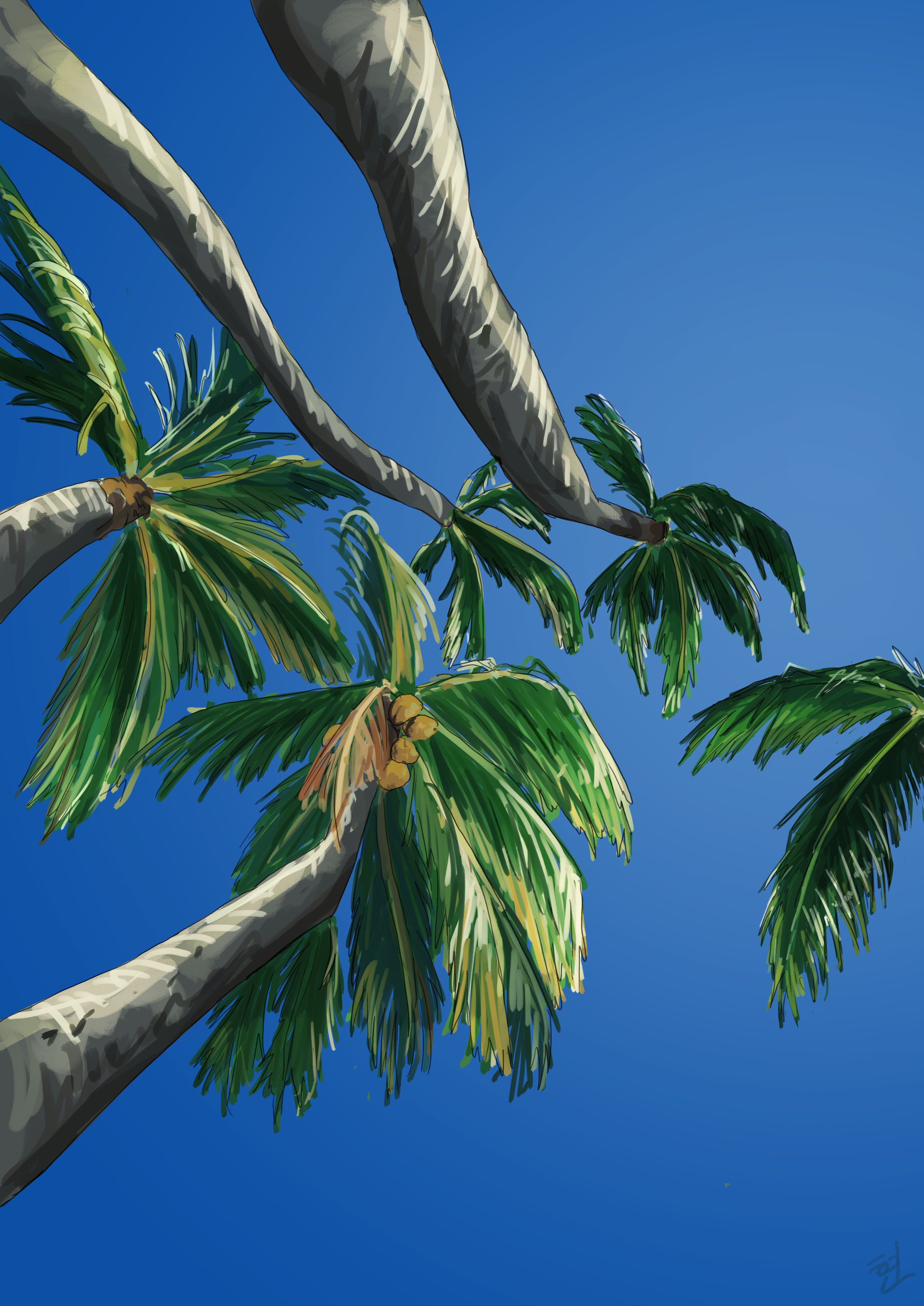 palm.png