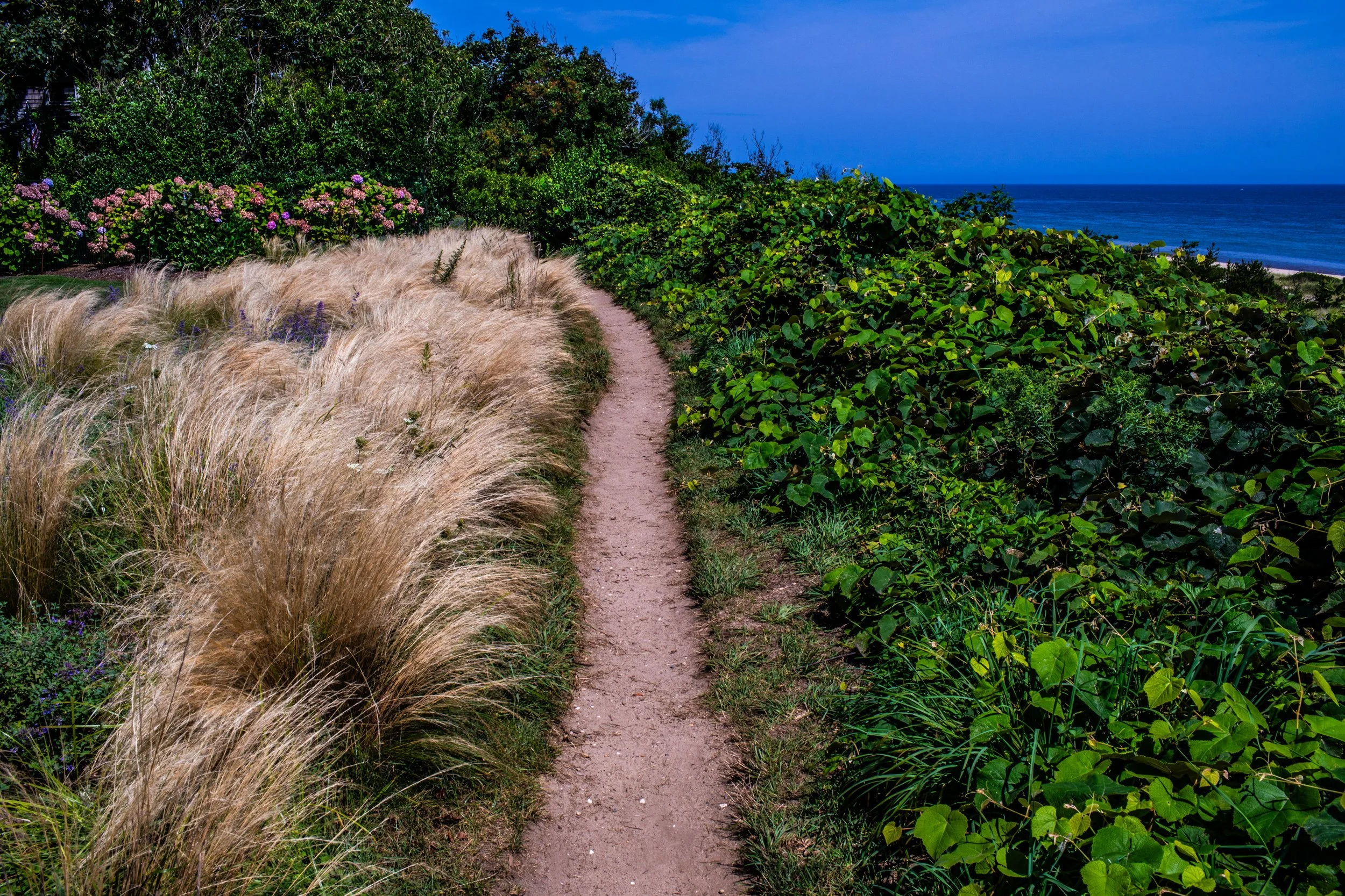 A_Weekend_On_Nantucket_Island-8.jpg