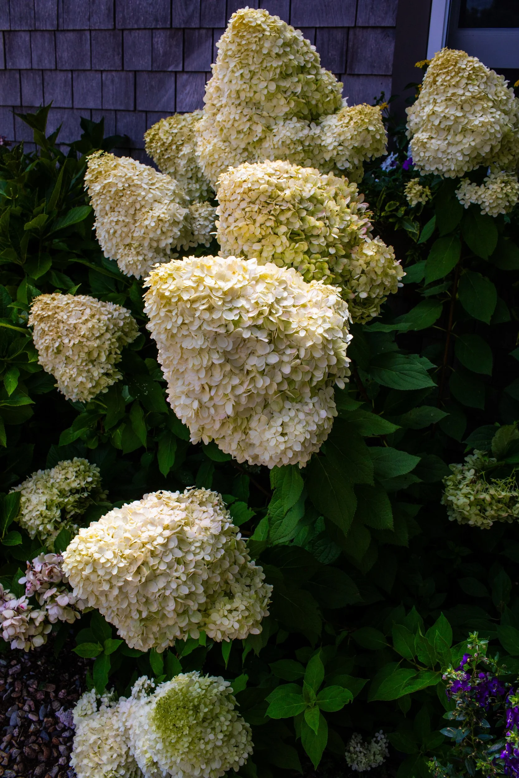 A_Weekend_On_Nantucket_Island-10.jpg