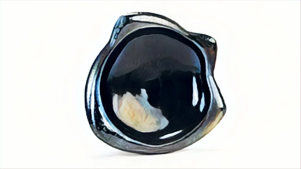 PRSM_0190.jpg
