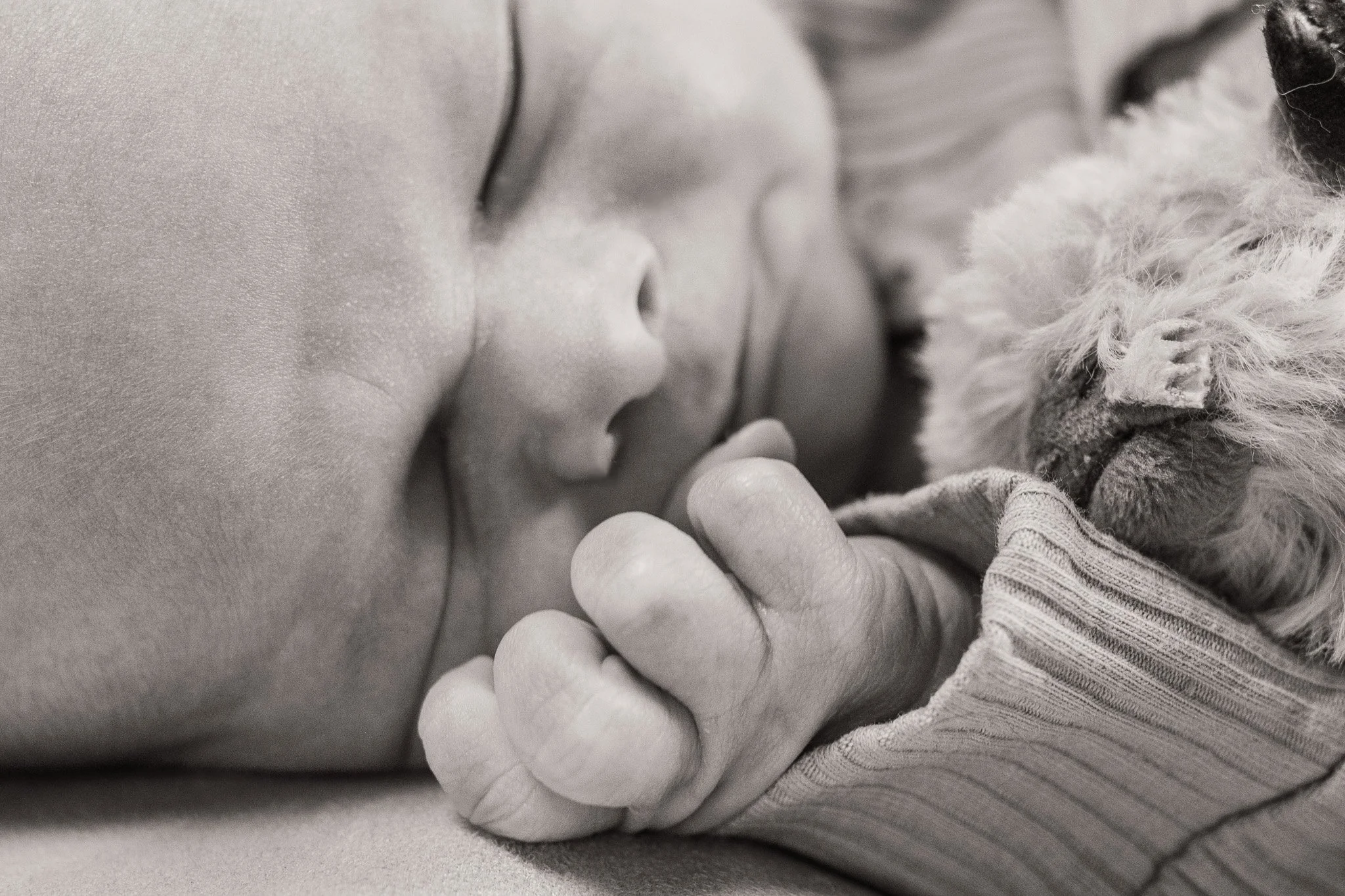 walter_ponto_newborn_portraits_bw_sm_photopoulos_family_photography_aug_29_2025-1.jpg