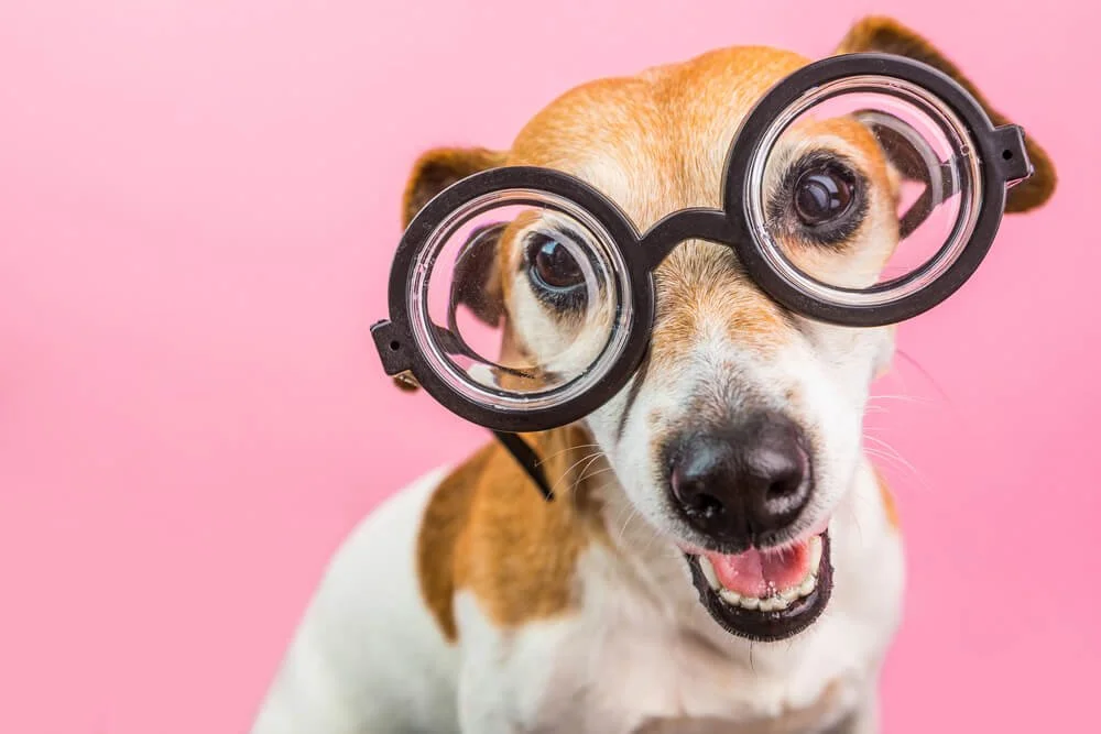 Daily Finds: Monday, February 9