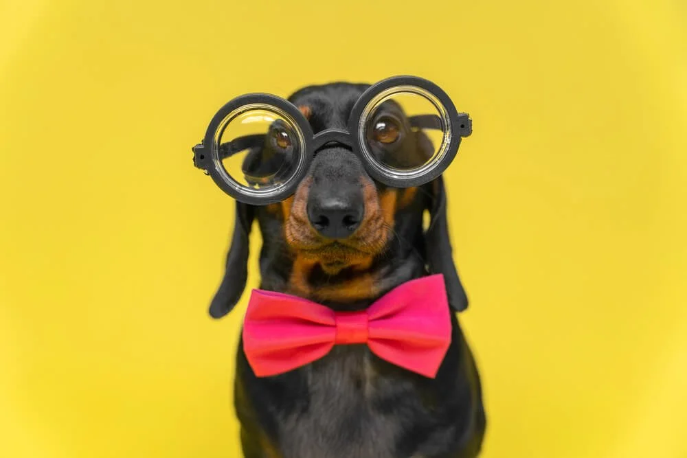 Daily Finds: Wednesday, February 25