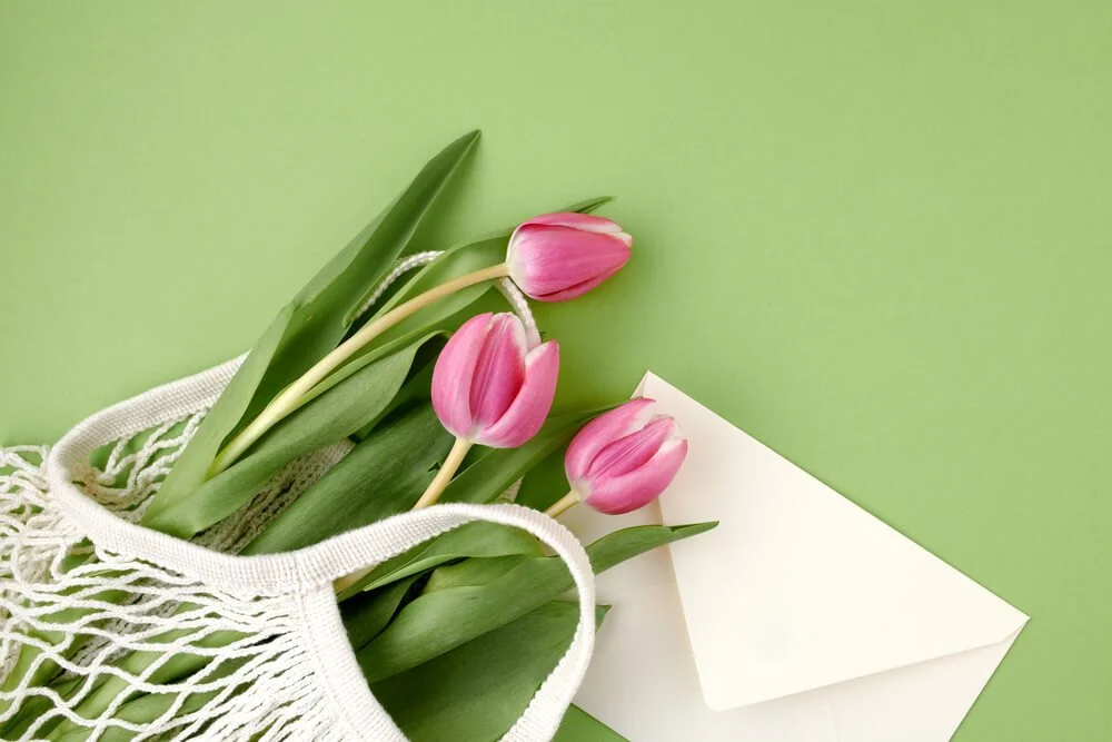 Daily Finds: Monday, March 2