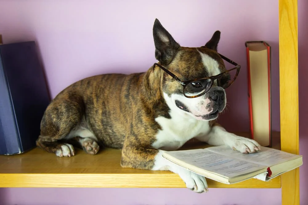 Daily Finds: Friday, March 20